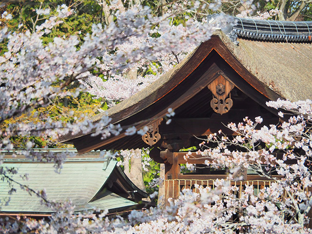 お寺で散骨IMAGE1