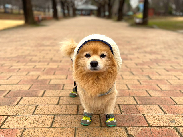 お寺で散骨IMAGE2